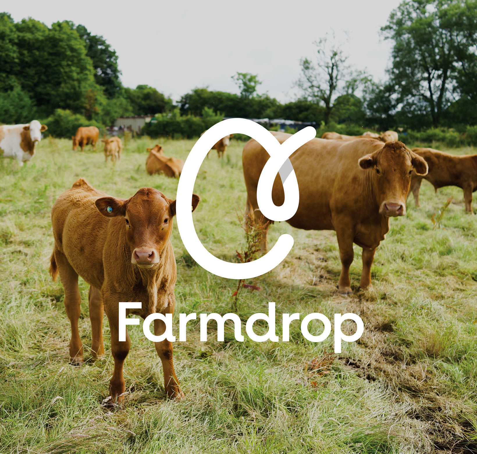 品牌形象焕新-Farmdrop