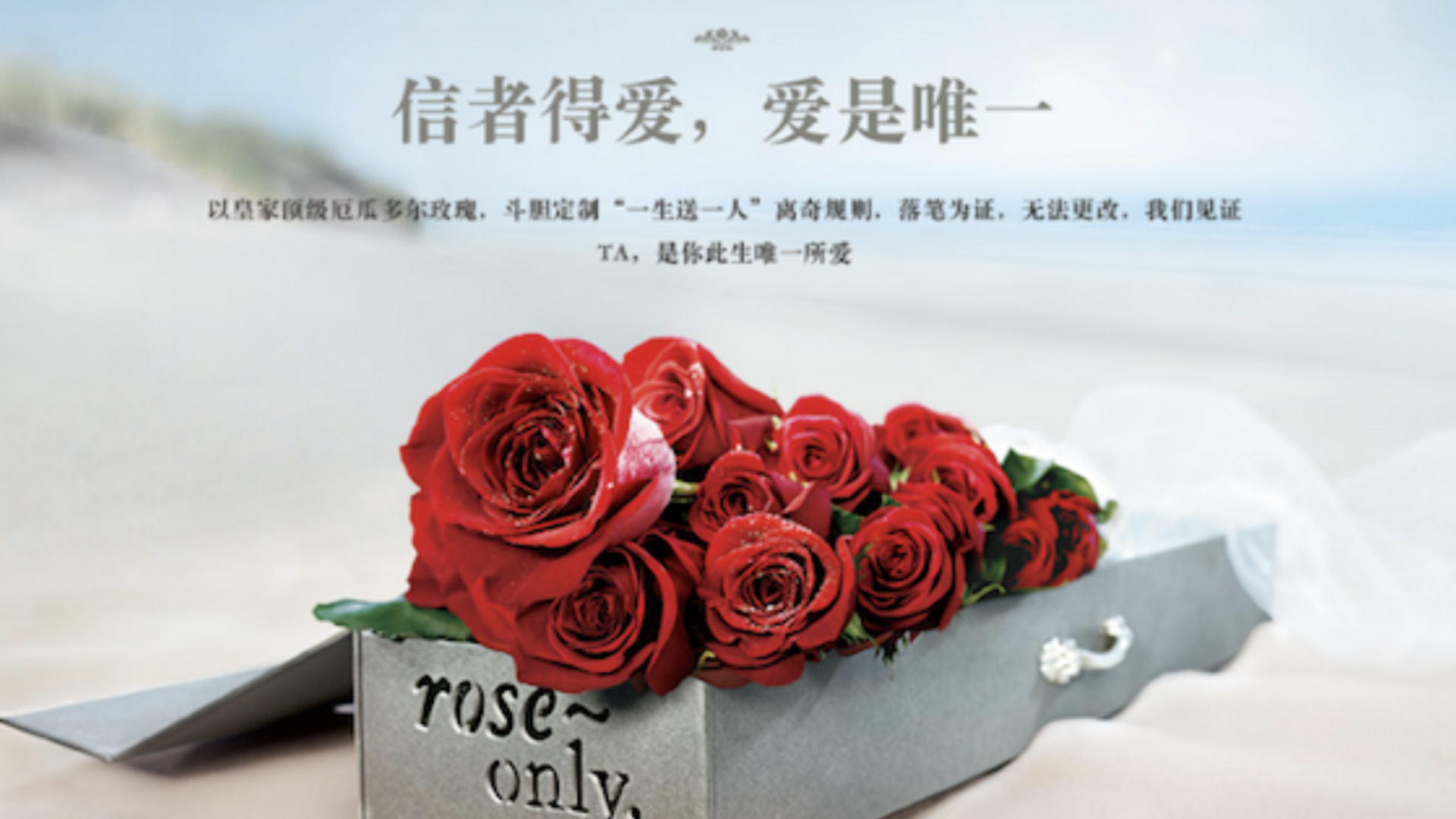 roseonly 花店品牌设计 花店vi设计 花店logo设计.jpg