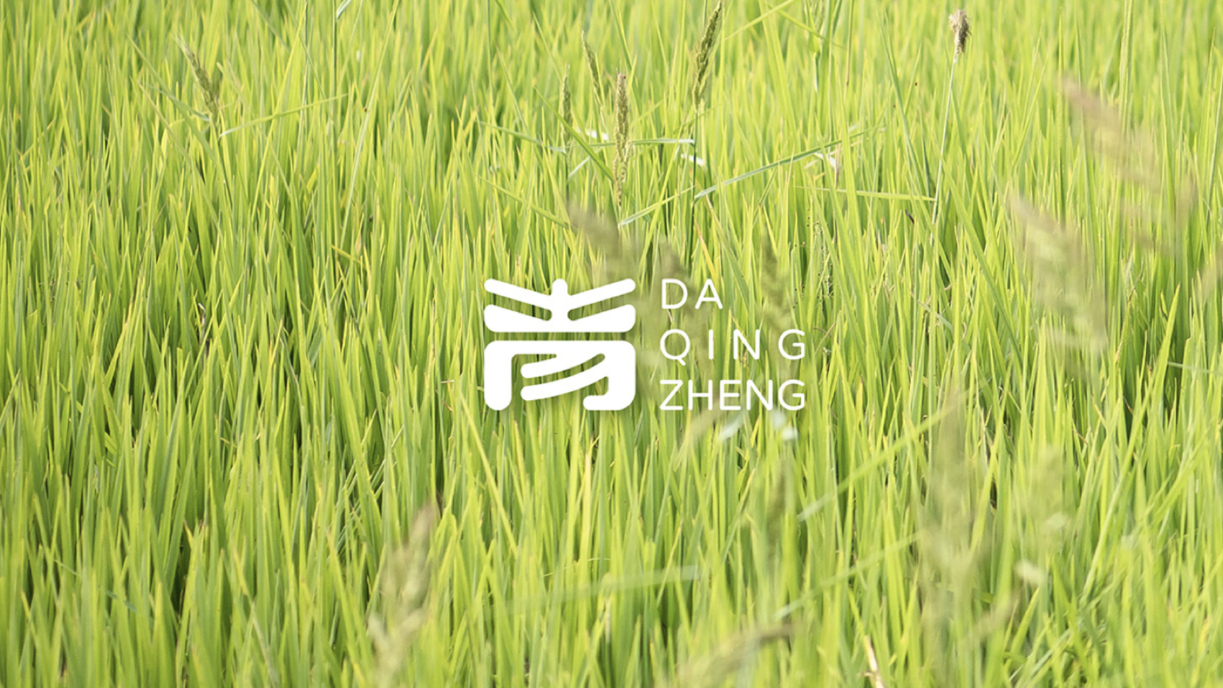 农业vi设计.jpg