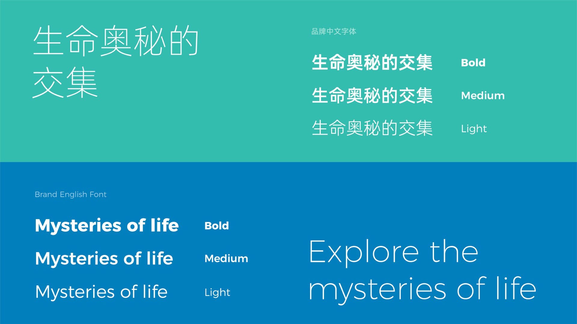 3医疗字体.jpeg
